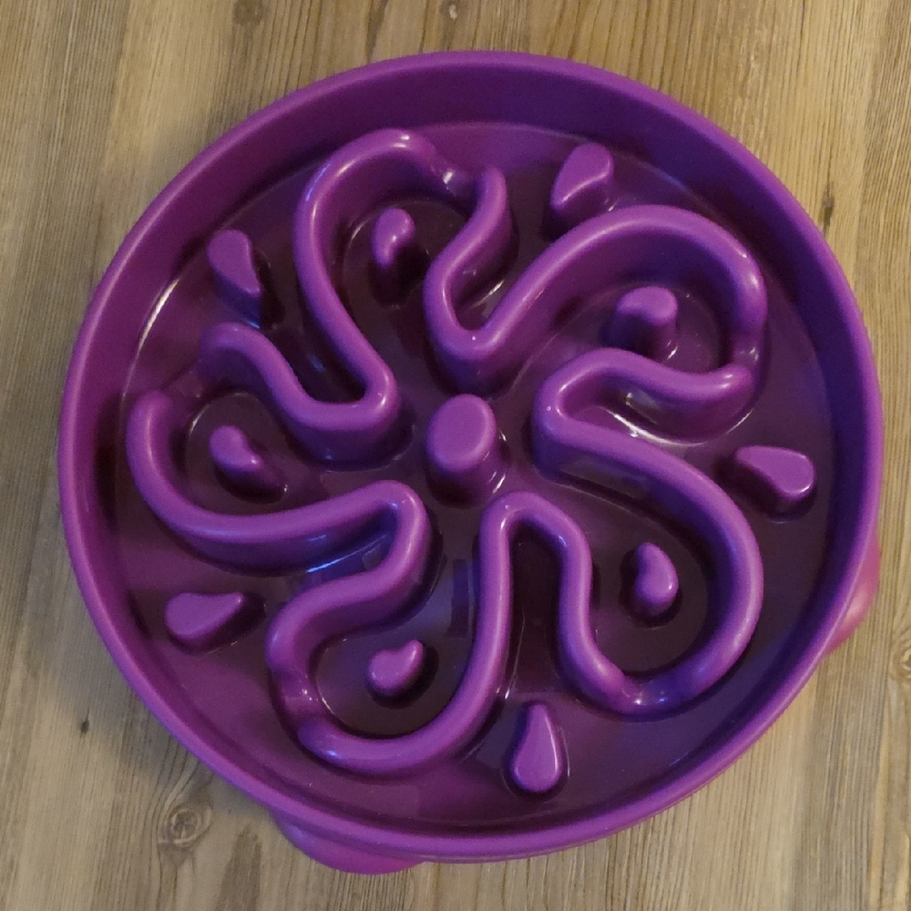 Slow Feeder Dog Food Bowl